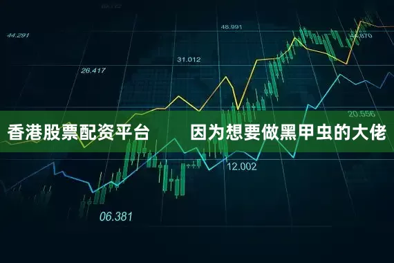 香港股票配资平台        因为想要做黑甲虫的大佬