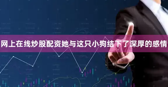 网上在线炒股配资她与这只小狗结下了深厚的感情