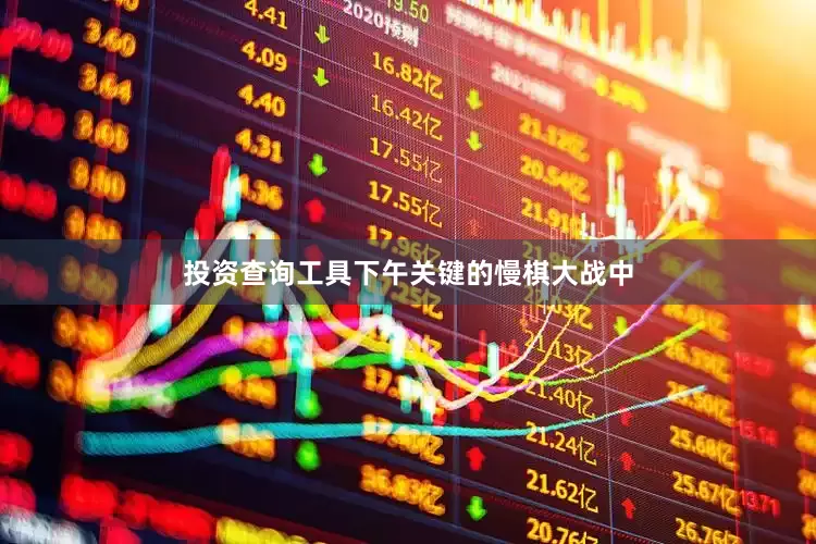 投资查询工具　　下午关键的慢棋大战中
