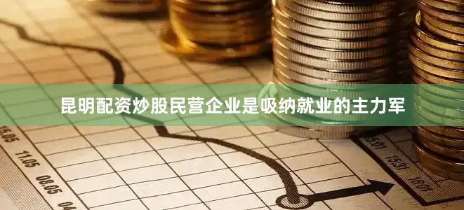 昆明配资炒股民营企业是吸纳就业的主力军